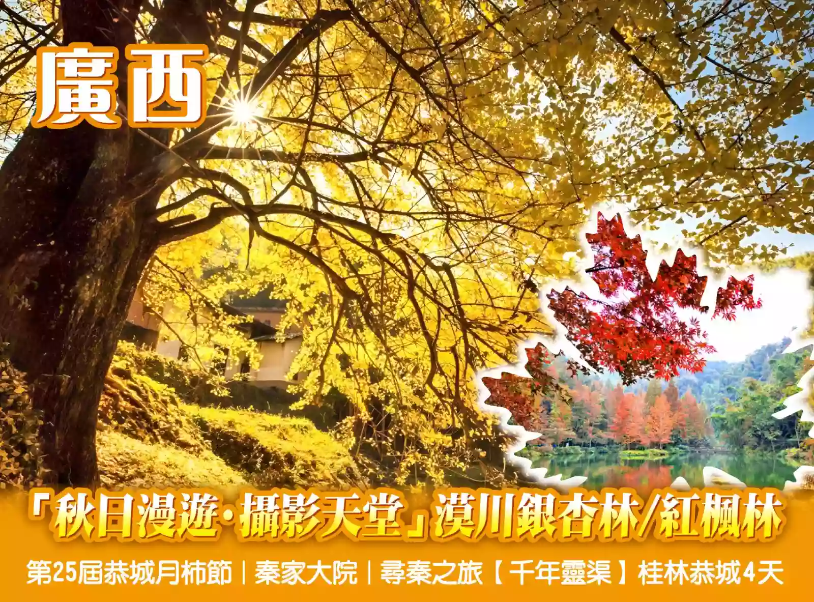 [BGX081]第22屆恭城月柿節 攝影天堂漠川銀杏林/紅楓林 秦家大院 千年靈渠 尋秦之旅 桂林恭城4天 