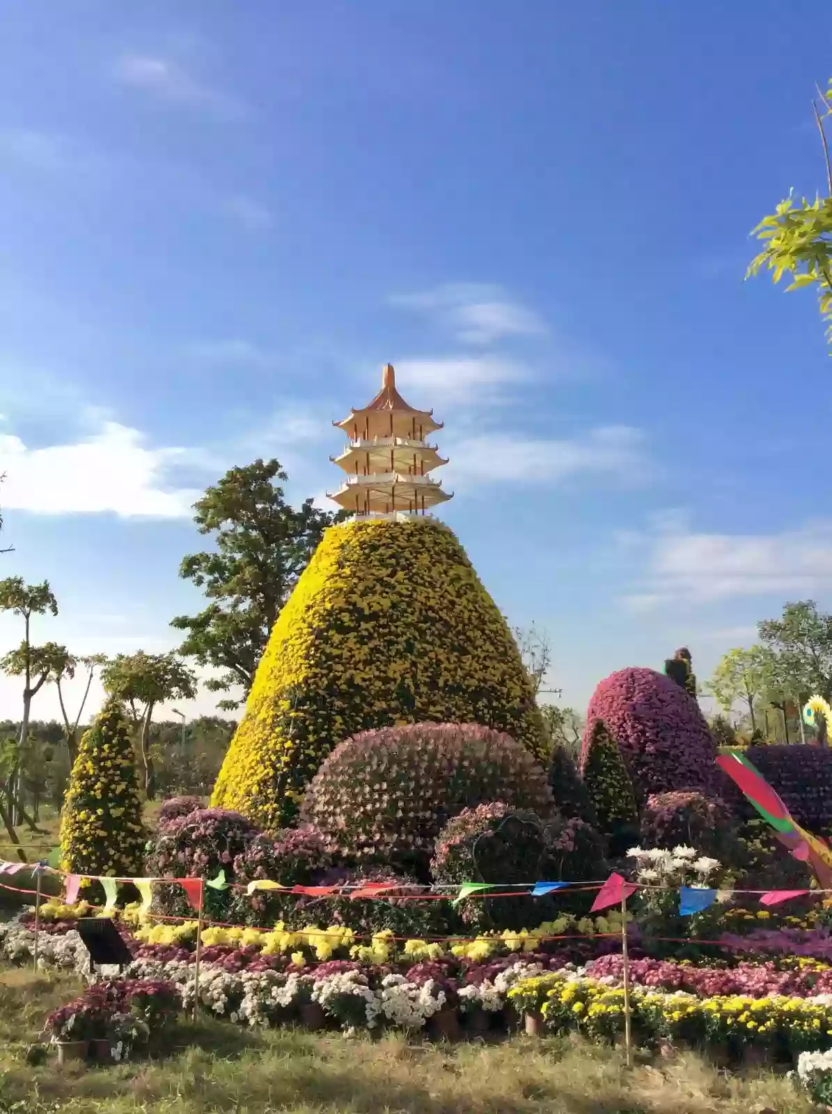 [CZS118]一年一度小欖菊展盛會 品【金玉滿堂秋菊名菜宴、菌王胡椒豬肚雞】 嘆海鮮自助晚餐 中山東莞 3天 