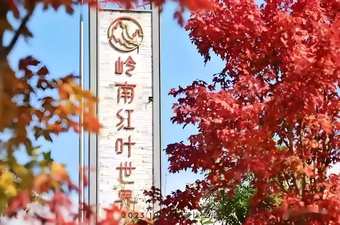 [CSG042]『嶺南紅葉世界』賞一年一度高山紅楓 天空之鏡&英西峰林畫廊 韶關五星《翁源希爾頓惠庭酒店》 美景3天 