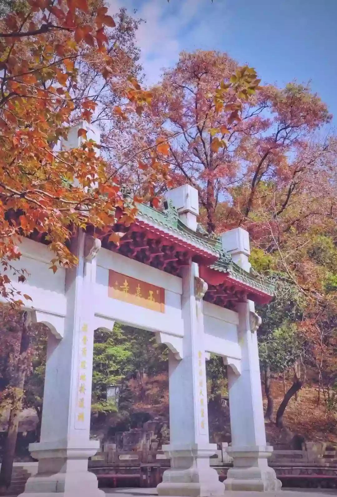[CJM039]漫山“楓”景“醉”美金秋（包往返環保車）賞一年一度圭峰山秋色 江門 美景2天 