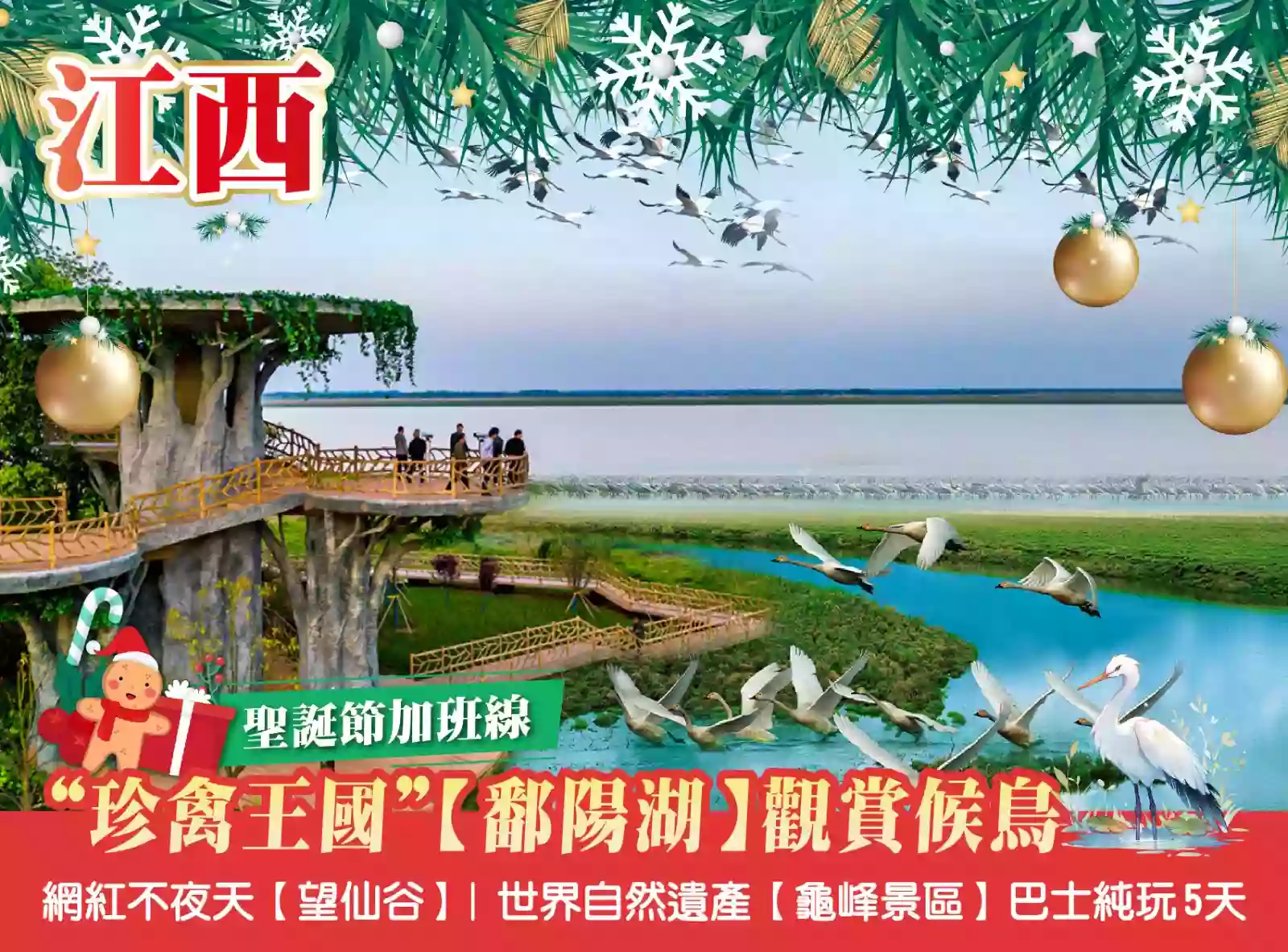 [BJX168XS]聖誕加班 鄱陽湖觀賞候鳥 網紅不夜天【望仙谷】 世界自然遺產【龜峰景區】5天 