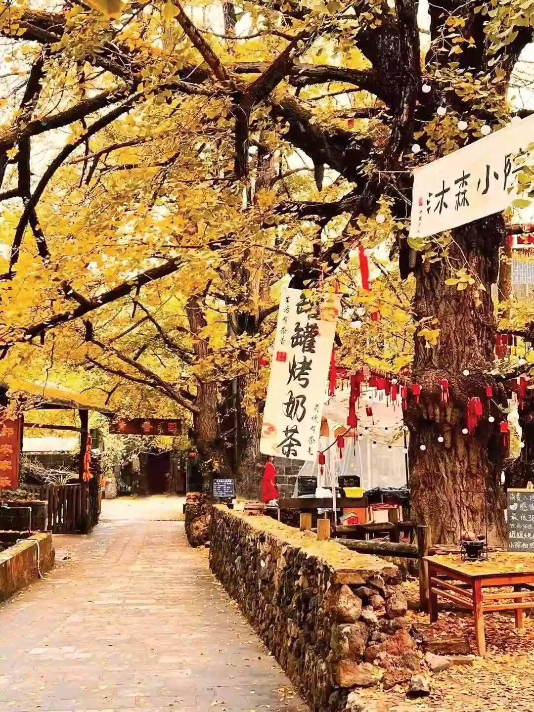 [LYN075]雲南 芒市 瑞麗 騰沖【金秋銀杏村+圍爐煮茶】一寨兩國 和順古鎮 熱海公園 北海濕地 飛機純玩6天 