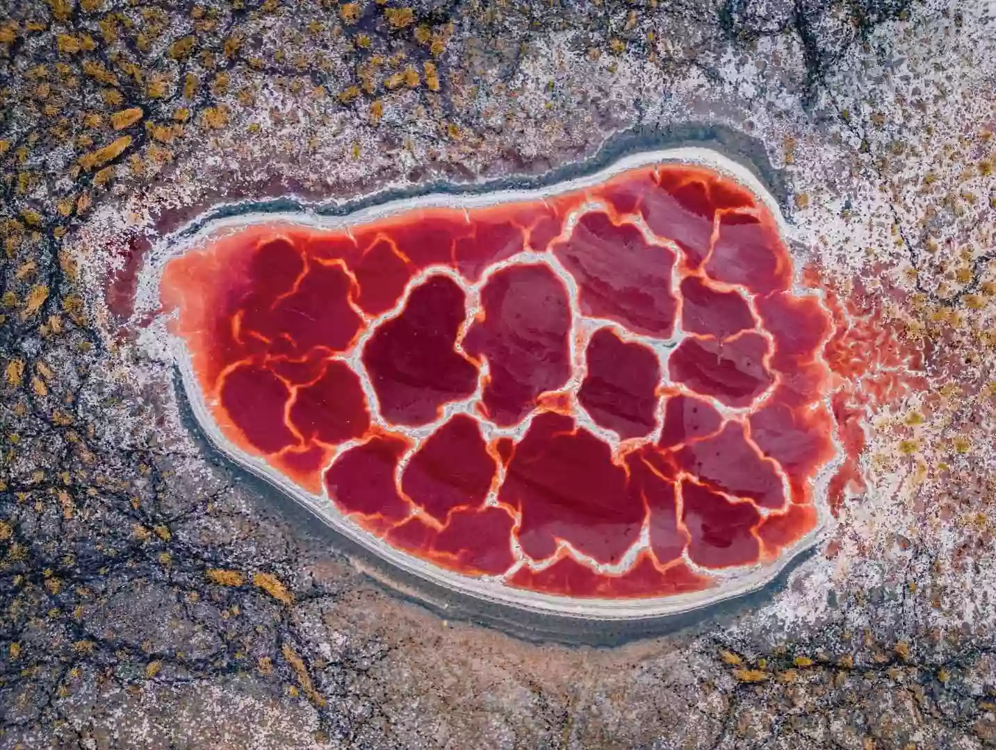 [LNX021]冬遊寧夏【銀川中衛】越野車穿越【五湖秘境】地球之心-烏蘭湖航拍 賀蘭山岩畫 西夏熱療湯 直航純玩8天 