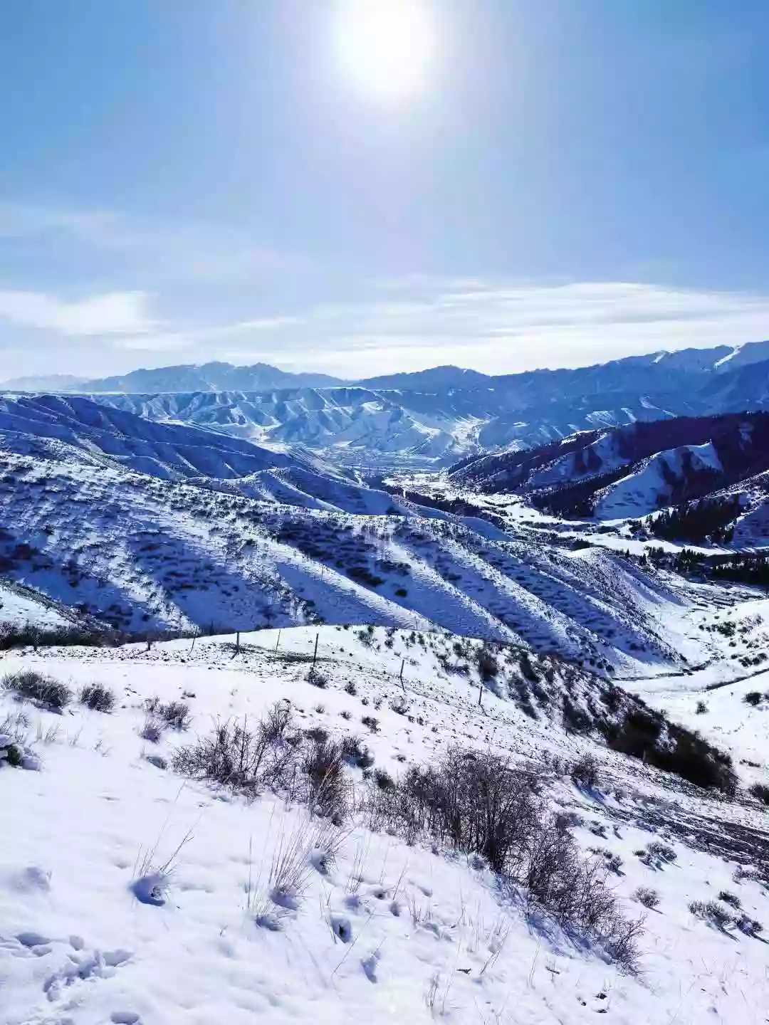 [LXJ051]神秘南疆 庫爾勒 庫車 阿克蘇 喀什古城【克孜爾千佛洞】【天山神秘大峽谷】【南山牧場】直航8天之旅 