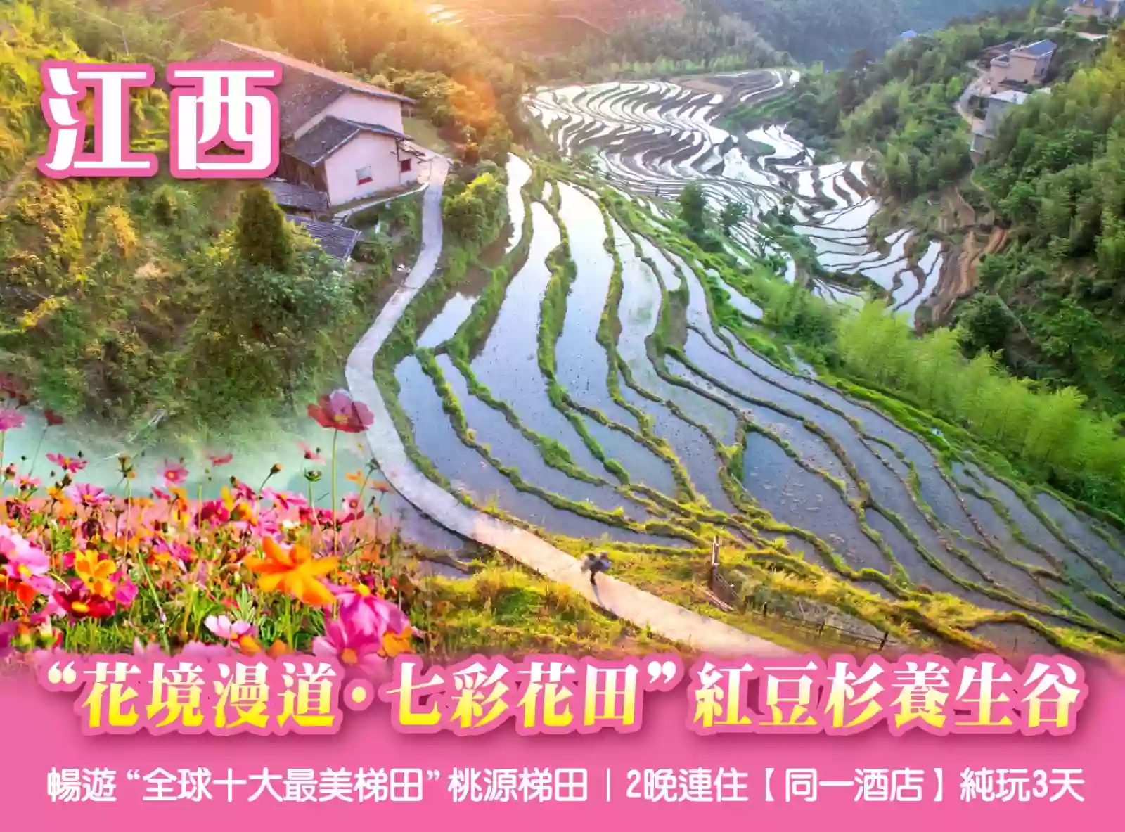 [BJX180P]“花境漫道*七彩花田”紅豆杉養生谷“全球十大最美梯田”桃源梯田2晚連住同一酒店3天 