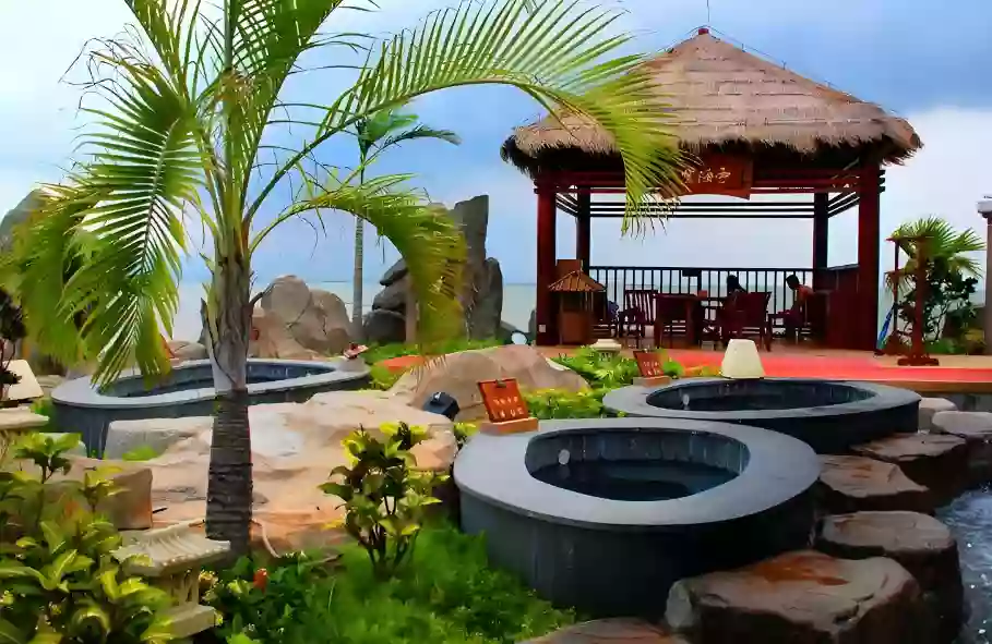 [CZH032P]珠海海泉灣度假區《維景國際大酒店》任浸“南海第一泉”海洋溫泉&夢幻劇場SHOW 2天 