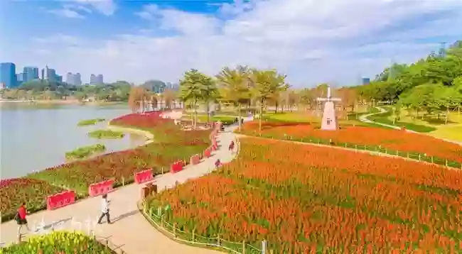 [CFS158]尋味順德美食 賞順峰花海 國際品牌 順德《華美達酒店》 觀花尋跡 美食2天 