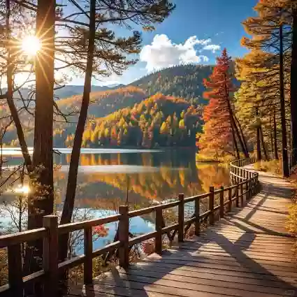 [LYN078]雲南 麗江大理香格里拉【麗江古城 大理古城 獨克宗古城 玉龍雪山】虎跳峽 普達措森林公園飛機純玩6天 