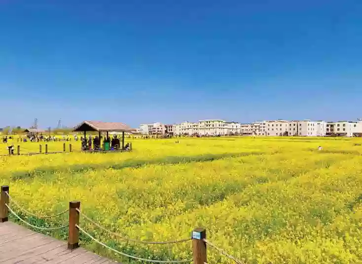 [LYN076]雲南昆明 大理 麗江【玉龍雪山】沙堤村油菜花海 花海莊園【夢橙花園】【大理古城麗江古城】高鐵純玩6天 