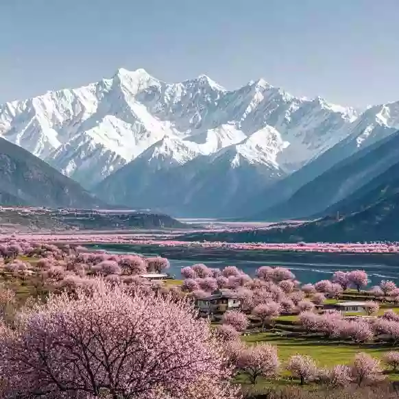 [LXZ052]西藏 第二十三屆林芝桃花節【嘎拉桃花村】拉薩【布達拉宮】重慶【洪崖洞】香港出發低海拔進藏四飛9天 