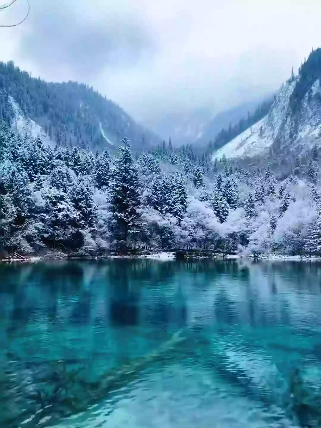 [LSC029]四川《世界自然遺產》【九寨溝】自然美景【牟尼溝】直航6天之旅 