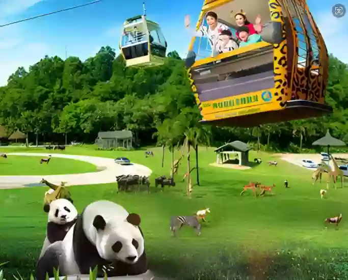 [CGZ128XS]【春節加班線】廣州長隆野生動物園 長鹿農莊動感樂園 奇幻水族館 三大樂園 樂園4天 