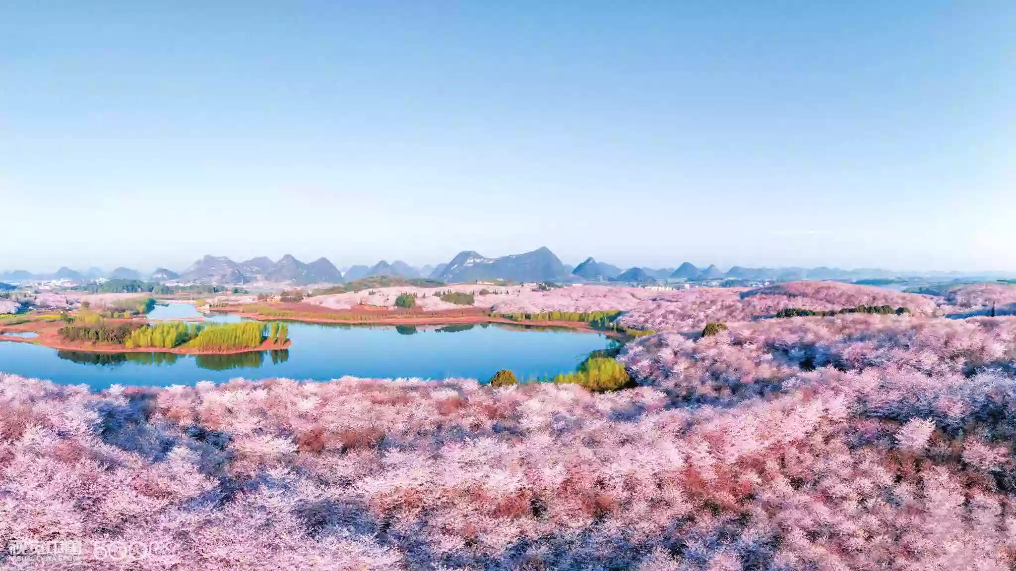 [LGZ085]花開貴州【平壩櫻花園】【萬峰湖遊船 馬嶺河大峽谷 萬峰林油菜花】世界之最【花江峽谷大橋】高鐵純玩5天 