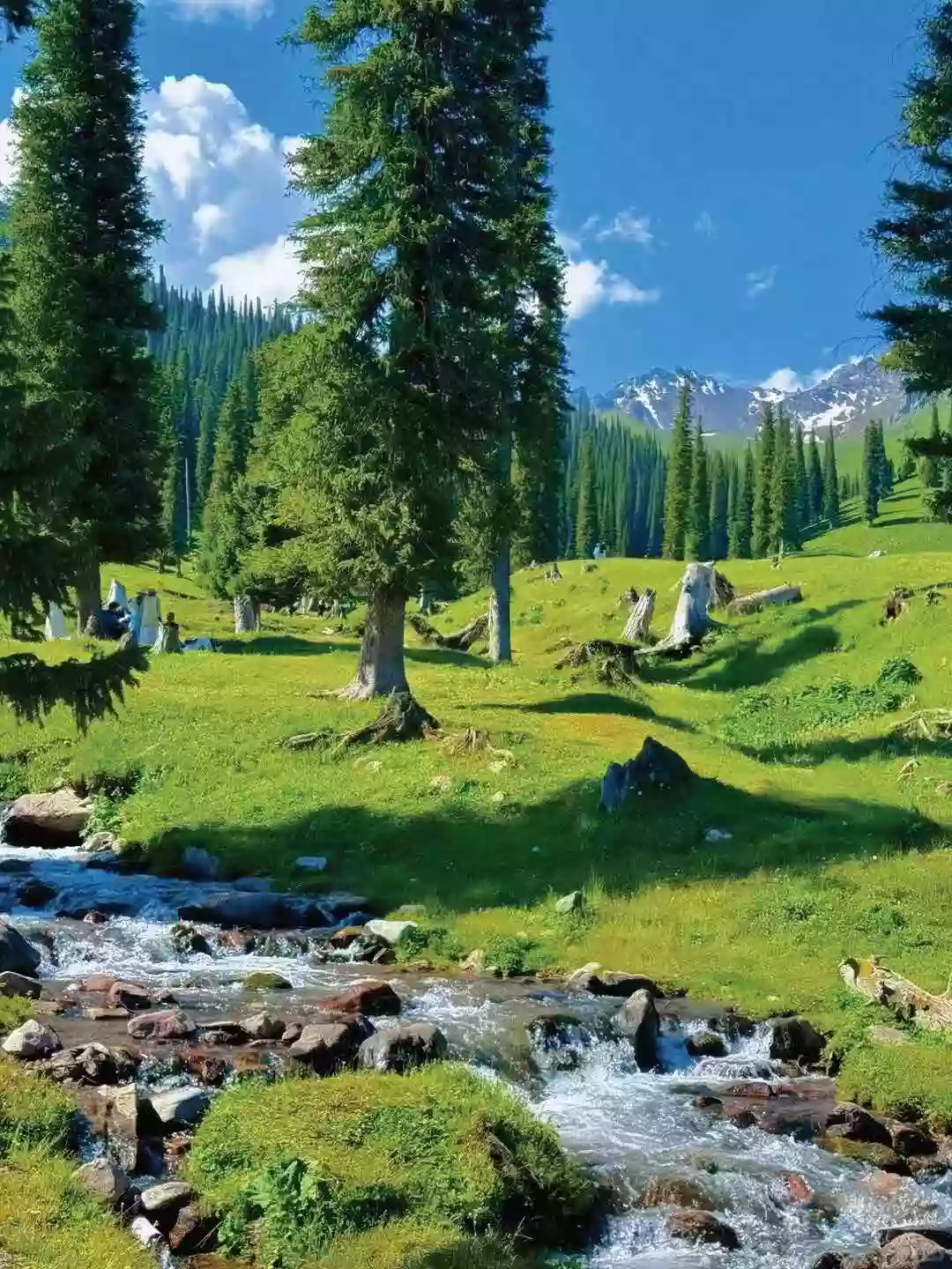 [LXJ057]新疆伊犁 天山花海 【賽里木湖 喀拉峻景區 那拉提大草原】 【昭蘇濕地公園 昭蘇玉湖】 美景體驗直航8天 