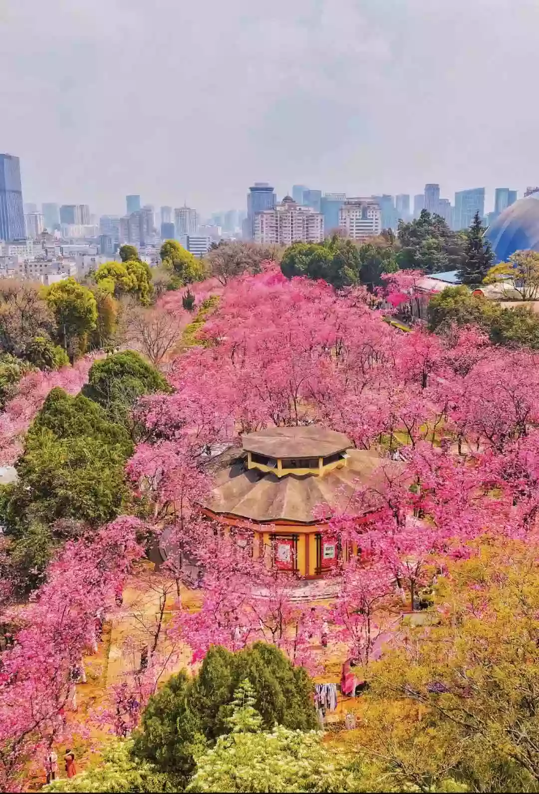 [LYN081]雲南 普者黑 山水美景《三生三世十里桃花》拍攝地 圓通山【圓通花潮】陸良彩色沙林 高鐵純玩6天之旅 