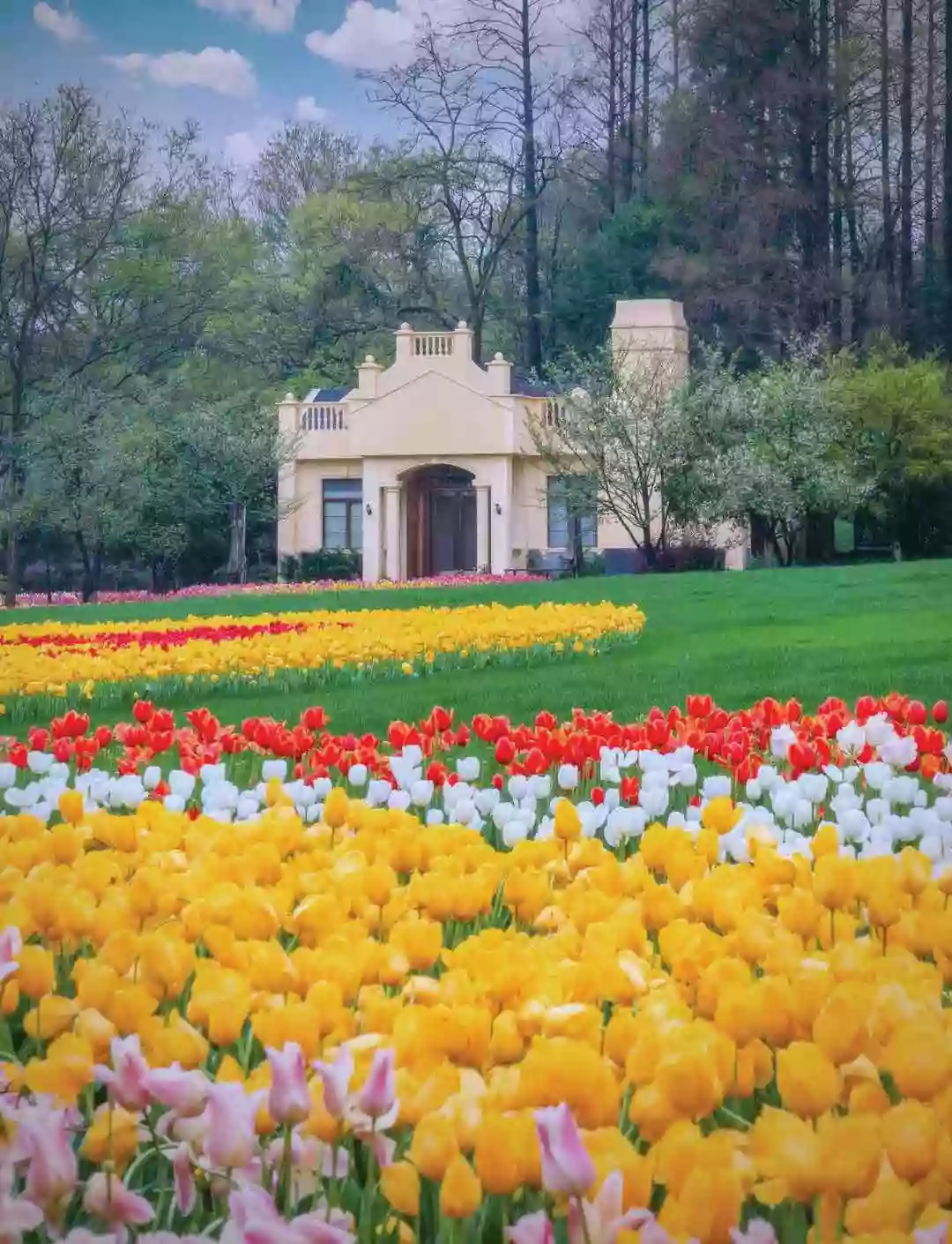 [LHD088XS]江南賞花季 杭州 無錫 上海 嘉興【全程入住國際品牌酒店】百花齊放【太子灣公園 錫惠公園 平湖櫻花小鎮】直航6天之旅 