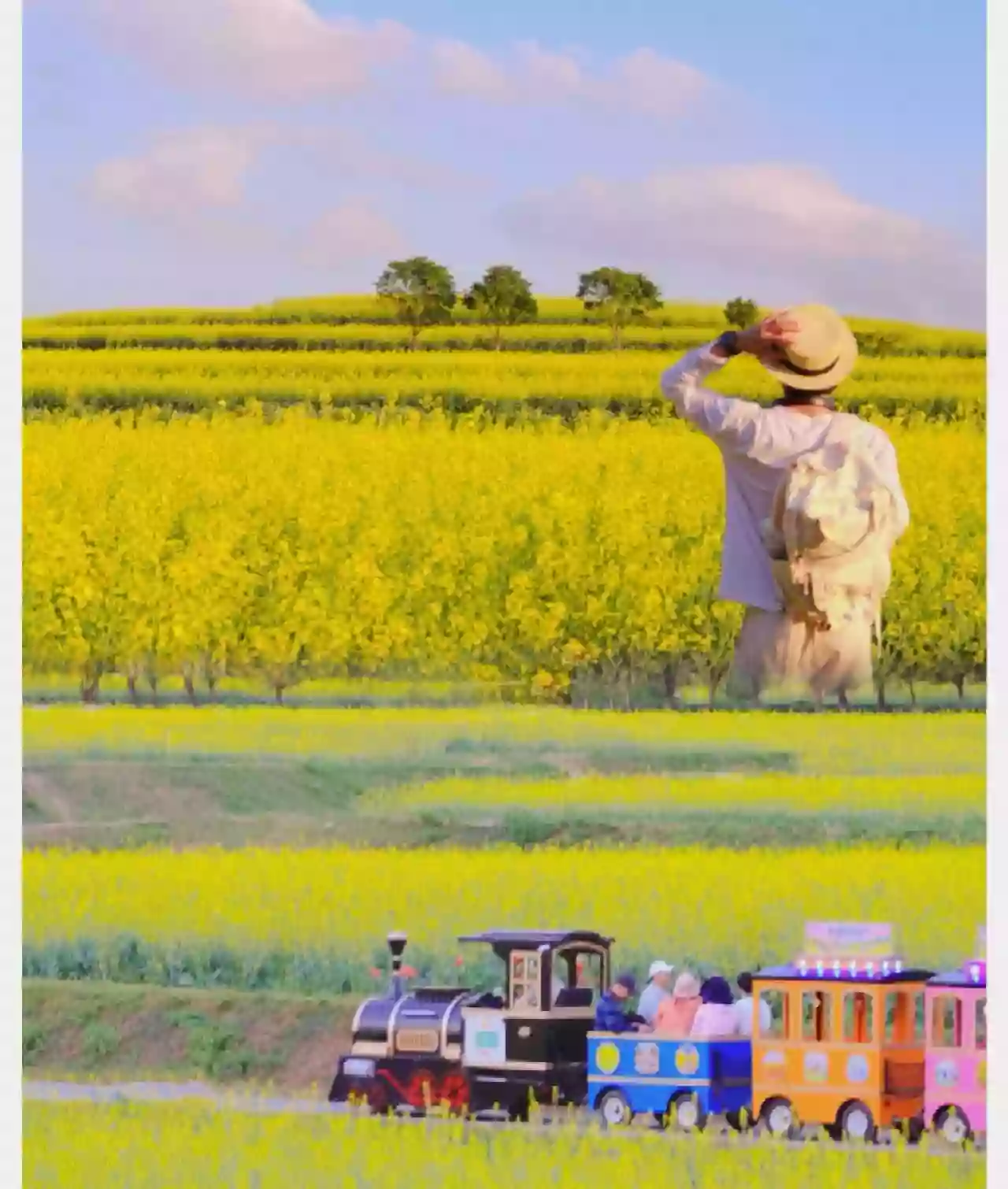 [CSZ031]【賞風景】深圳邂逅浪漫四季花海 嶺南園林私房菜 別樣鵬城1天 