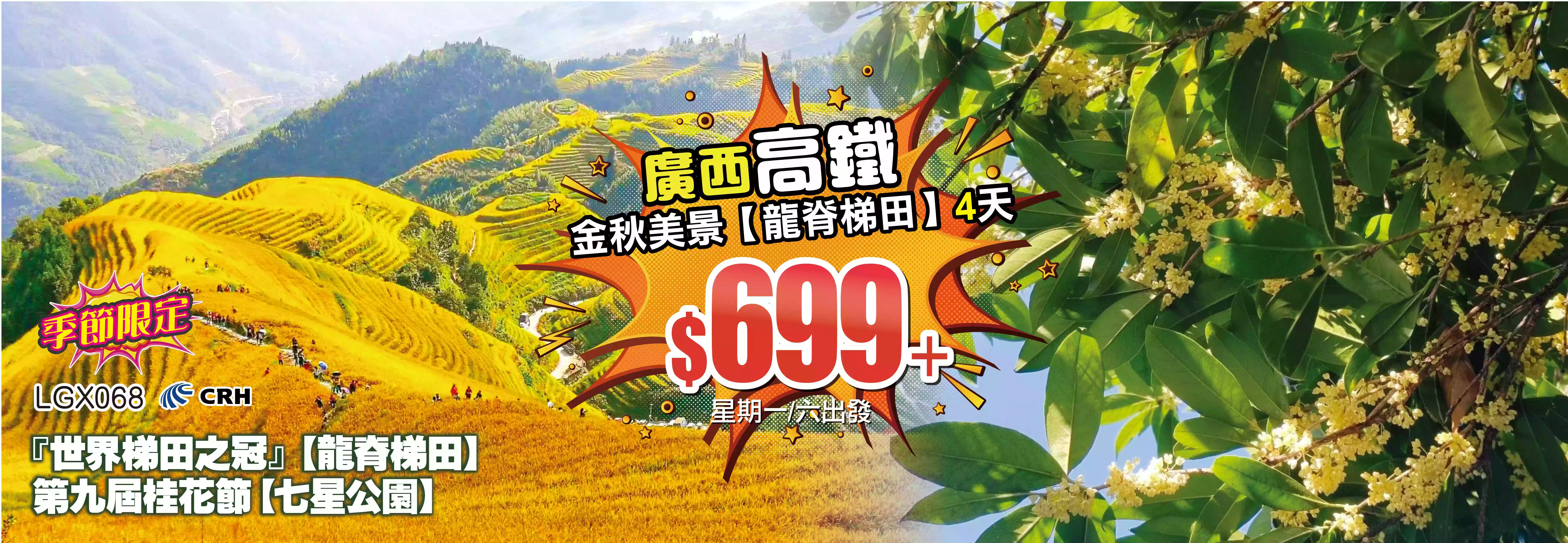 slide image 横幅图片
